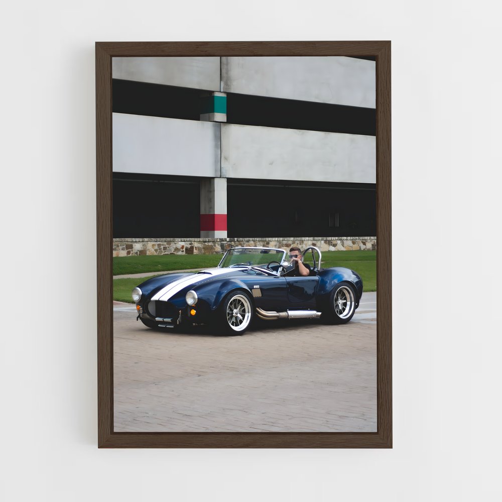 Poster AC Cobra Racing (vue 5)